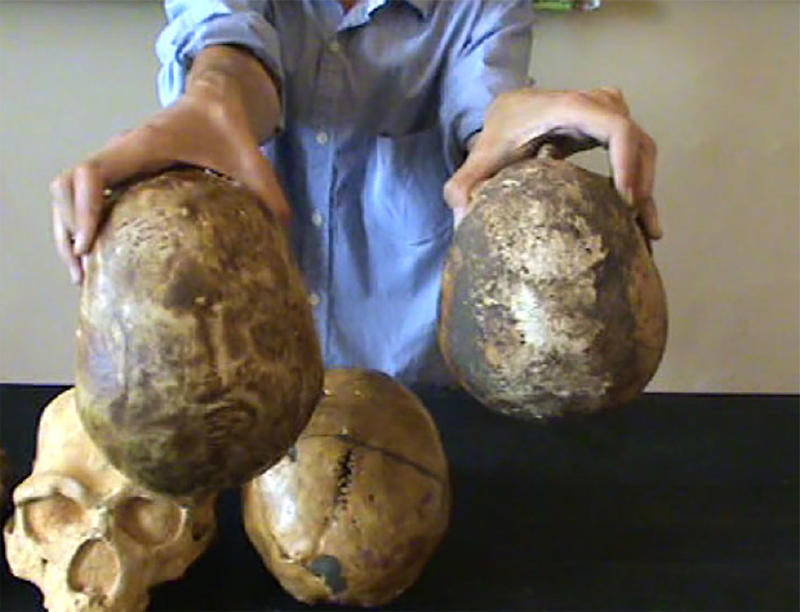 Слева — череп Homo sapiens из палеолита, справа — из нашего времени. Скриншот видео: youtube / Александр Соколов