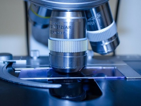 Врач оценил исследования немецких коллег: коронавирус не живет на поверхностях