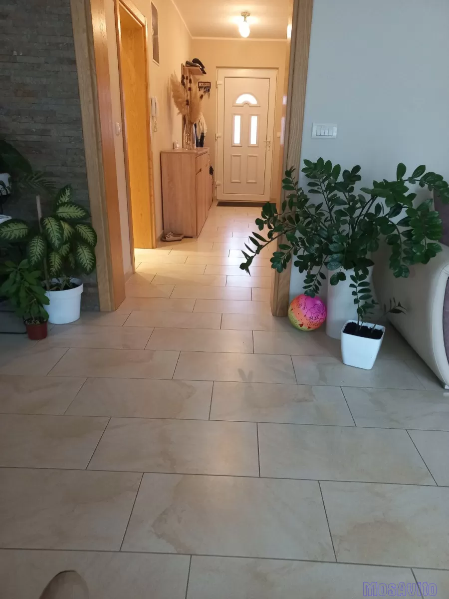 ДОМ В ВЕТЕРНИКЕ, НОВИ-САД, СЕРБИЯ, 73 м² Veternik, Serbia