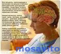 Системный продукт восстановительной медицины методом леч.цветотерапии