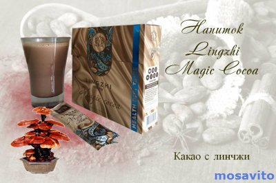 Напиток Lingzhi Magic Cocoa (Линчжи мэджик Кокоа), какао с линчжи